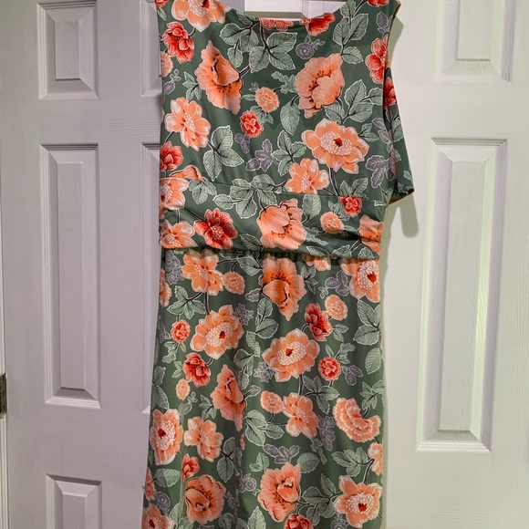 L L Bean 3X Women’s Dress Sleeveless floral cotton/viscose - Picture 2 of 7